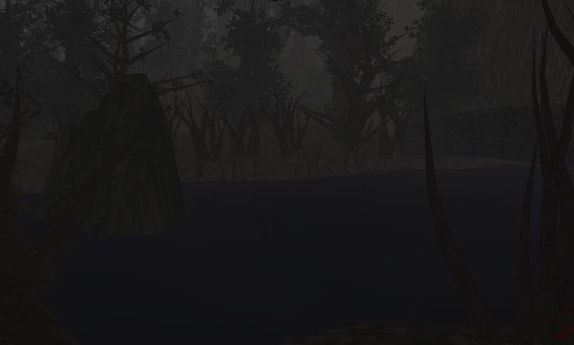 A foggy stream at night